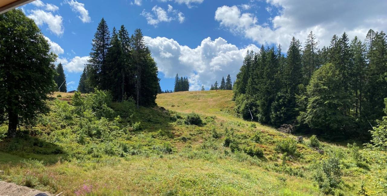 Ferienwohnung Feldberg Schwarzwald ภายนอก รูปภาพ