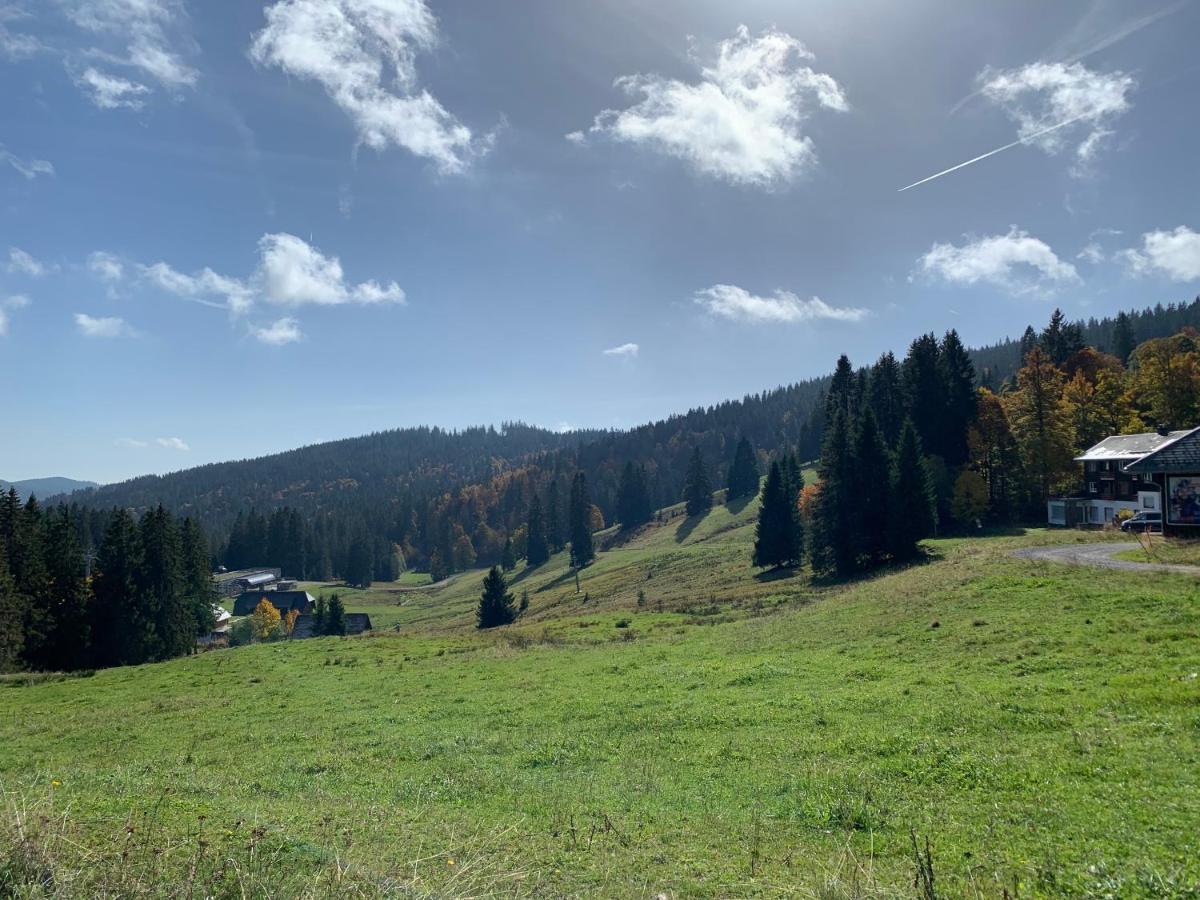 Ferienwohnung Feldberg Schwarzwald ภายนอก รูปภาพ