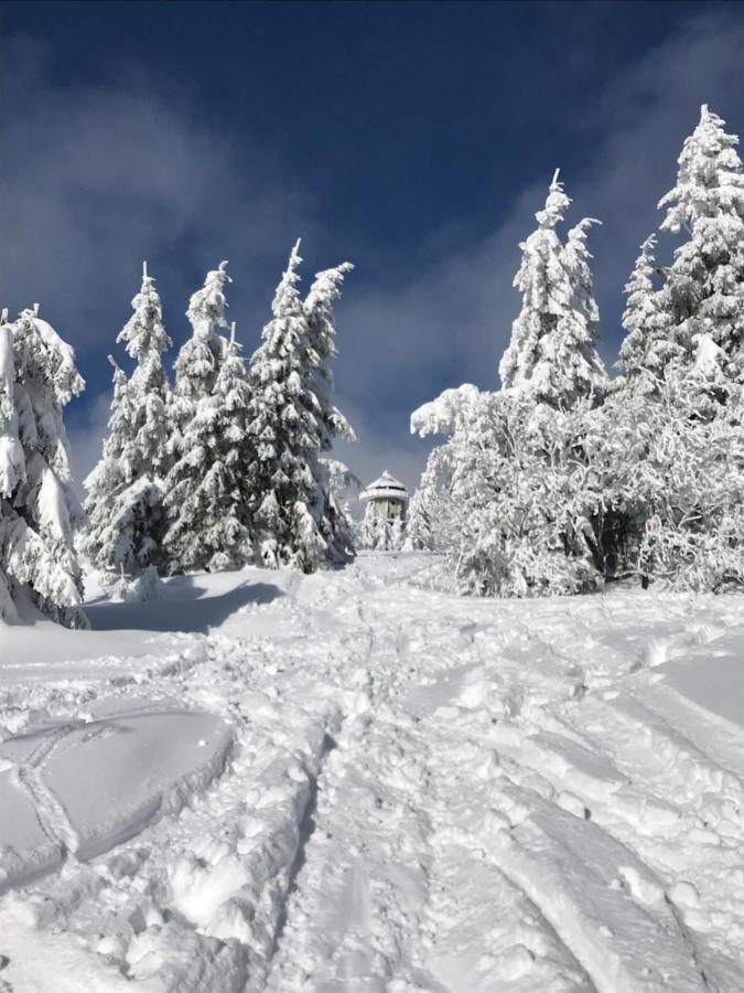 Ferienwohnung Feldberg Schwarzwald ภายนอก รูปภาพ