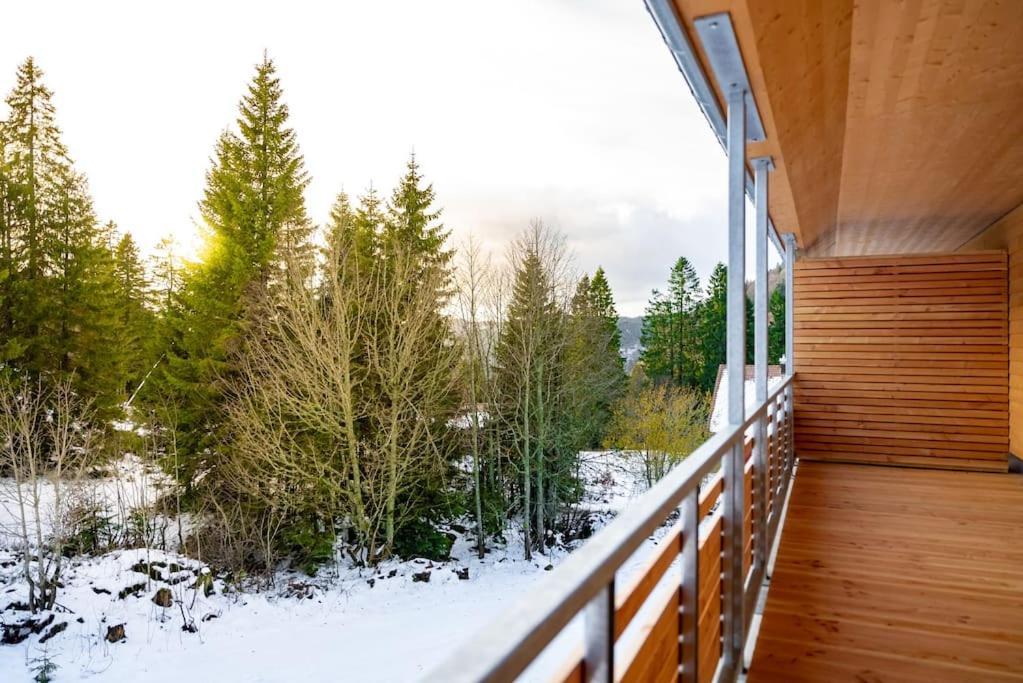 Ferienwohnung Feldberg Schwarzwald ภายนอก รูปภาพ