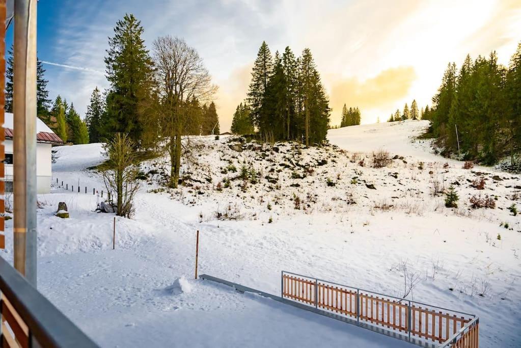 Ferienwohnung Feldberg Schwarzwald ภายนอก รูปภาพ